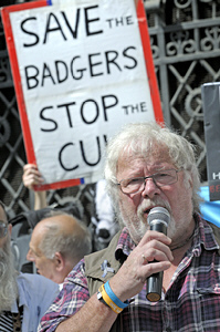 The Badger Trust challenges the government